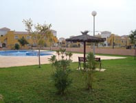 Community Pool and Gardens